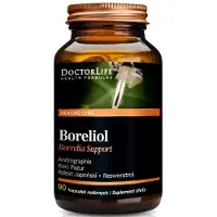 Doctor Life Borrelia Support, 90 Kapseln