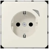 Albrecht Jung GmbH & Co. KG HOME SCHUKO BTCD1521S Steckdose