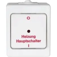 Kopp 567302005 STANDARD - Heizungshauptschalter, Farbe: arktisweiß