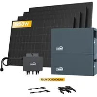 TSUN DCU2000Lite Solarspeicher für Balkonkraftwerke, mit 4 x 450W Bifaziale Solarmodule & 800W Mikro‐Wechselrichter. by Powerness - 4kWh / Standardversand