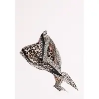 Street One Halstuch mit Animal Print