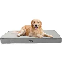 OEM Orthopädisches Hundebett, 10 cm dickes Hundekissen für mittelgroße und große Hunde, abnehmbare und waschbare Hundematte, antislip Unterseite, wasserdichte Füllung, 112 cm, hellgrau