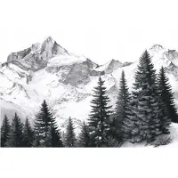 WALLARENA FOTOTAPETE Gebirge Wald Schwarzweiß 200x140 cm