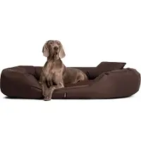 Tierlando Orthopädisches Hundebett SAMMY | Robuster Polyester | Dicke Umrandung - Größe: 140x105cm | Farbe: 01 Braun