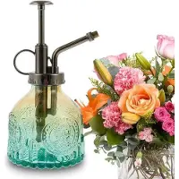 OEM Glas-Wasserschlauchpumpe - 200 ml - Wasserschlauchpumpe für Blumen Topfpflanzen Kräuter - Haus und Garten