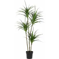 Oasis of Life Dracaena Kunstpflanze 165cm Große Drachenbaum Deko Pflanze Pflegefreie dekorativ