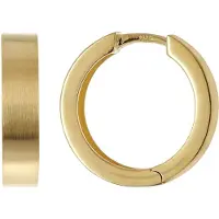 Trendor 21722 Creolen Ohrringe 925 Silber Vergoldet Matt Klapp-Creolen ⌀ 18 mm