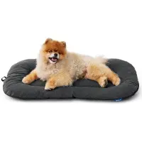 OEM Hundebett Mittelgroß für kleine Hunde - 59x43 cm, waschbares Hundekissen für Welpen und Katzen, Hundebett sehr weich mit Anti-Slip-Boden, dunkelgrau