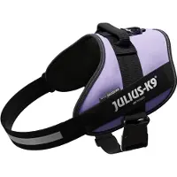 JULIUS K-9 IDC Powergeschirr lila, Größe: 3 / XL