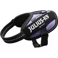 Julius-K9 IDC Powergeschirr lila, Größe: 2XS/Baby 2