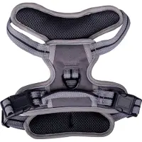 Companion no-pull dog harness - M
