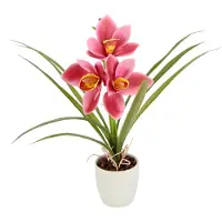 Otto Home Kunstblume "Orchidee" Mit Blätter im Topf aus Keramik Künstliche Blume Cymbidium-Orchidee