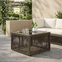 vidaXL Möbel Gartentisch Grau und Schwarz 55 x 55 x 37 cm PE Rattan und Glas - Gartentische &53916