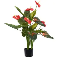 Beliani Anthurium