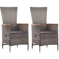 Furnicato Gartenstühle 2 Stk Mit Auflagen Poly Rattan Grau