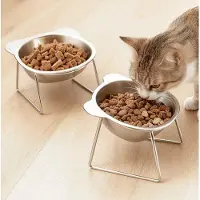 OEM Doppelte Stahl-Katzenhochbeet/Wasserhochbeet/ Nackenbeschützer/Anti-Kippschutz/Hundehochbeet/Tierhochbeet/ Futterrek