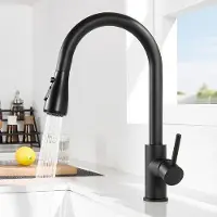 OEM Schwarze Küchenarmatur mit Handdusche 3 Strahlstellungen