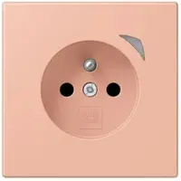 JUNG BT LC 1521 F SE 231 HOME Steckdose Energy französisch/belgisches