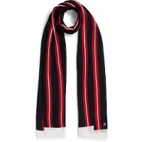 Tommy Hilfiger Modeschal "TH ELEVATED CHIC SCARF"