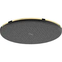 Hansgrohe 24521990 Kopfbrause Raindance Alive S