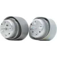 RIDEX Motorlager Hydrolager Links Rechts für VW Golf IV Schrägheck (1J1) 247E0800