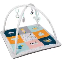 Eurekakids Baby-fitnessstudio Und Spielmatte Mit 3 Puppen