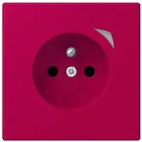 JUNG BT LC 1521 F SE 230 HOME Steckdose Energy französisch/belgisches