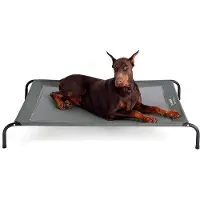 OEM Hundebett Outdoor für große Hunde - grau - Innen- und Außenbereich - Camping - erhöht - Größe L - 124 x 90 cm - Höhe 20 cm