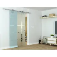 Glaszentrum Hagen Glasschiebetür 2050x1025x8 mm Lot, ESG