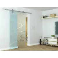 Glaszentrum Hagen Glasschiebetür 2050x775x8 mm Zirkula, ESG