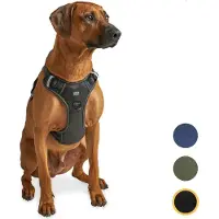 Jake and Jacky - Hundegeschirr - Y-Geschirr Hund - Reflektierend - Größe L - Schwarz
