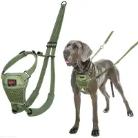 Company of animals Halti No Pull Hundegeschirr