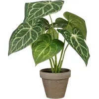 Mica Decorations Caladium
