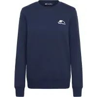 Helly Hansen Sweatshirt Damen Nord Graphic