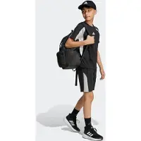 Adidas T-Shirt für Kinder Seasonal Essentials Colorblock T-Shirt Kids kind