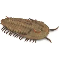 Collecta Trilobital-figur Golden 3-6 Years Golden 3-6 Years