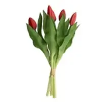 Möbel Kraft Tulpenbund 5fach ¦ rot ¦ Kunststoff,Metall ¦ Maße (cm): H: 32