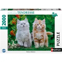 Nathan – 2000-teiliges Puzzle – Sibirische Kätzchen – Ab 14 Jahren – Hochwertiges Puzzle – Kollektion „Zärtlichkeit“ – 12001868