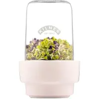 Kilner Aufbewahrungsglas für Sprossen, 0,5 Liter transparent/ weiß/ silber