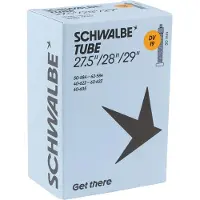 Schwalbe DV 19