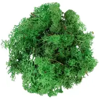 My Village Rentiermoos grün 500g (groen)