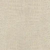 Rasch Vliestapete 751345 Beige-Hellbeige Muster & Motive 10,05 m x 0,53 m GLO769058240