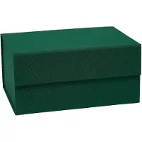 OYOY L301441, Aufbewahrungsbox, Dunkelgrün, Rechteckig, Karton, Einfarbig, Drinnen