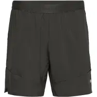 Björn Borg Tennishose Ace Pro Shorts Herren Peat-S