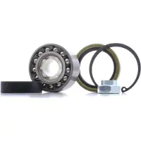 RIDEX Radlagersatz Vorne Links Rechts für RENAULT 14 (121) 72mm 654W0900