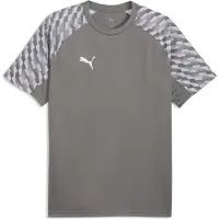 Puma teamLIGA26 Trikot grauweiss, 2XL Herren