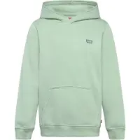 Levi's Hoodie in Grün - 128