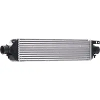RIDEX 468I0241 Ladeluftkühler LLK für FIAT BRAVO II (198) Turbo Intercooler