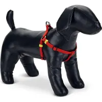 Beeztees Uni - Hundegeschirr - rot - 35-60 cm x 15 mm
