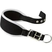 Ferplast Ergocomfort 20 Mm 39 Cm Collar Schwarz 20 mm 39 cm